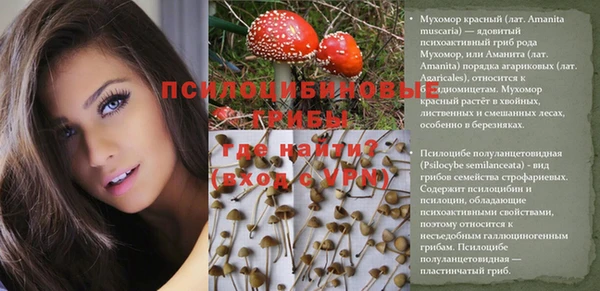 тгк Беломорск
