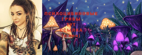 2c-b Балабаново