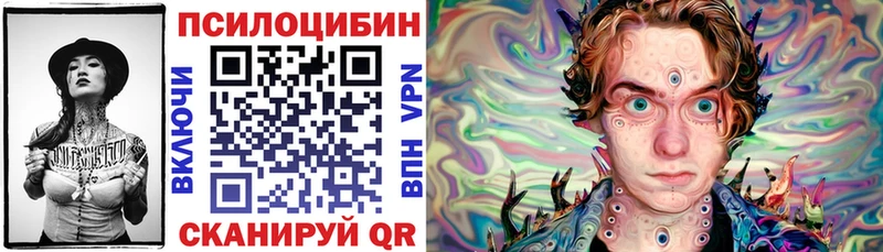 Псилоцибиновые грибы Psilocybe  Будённовск 